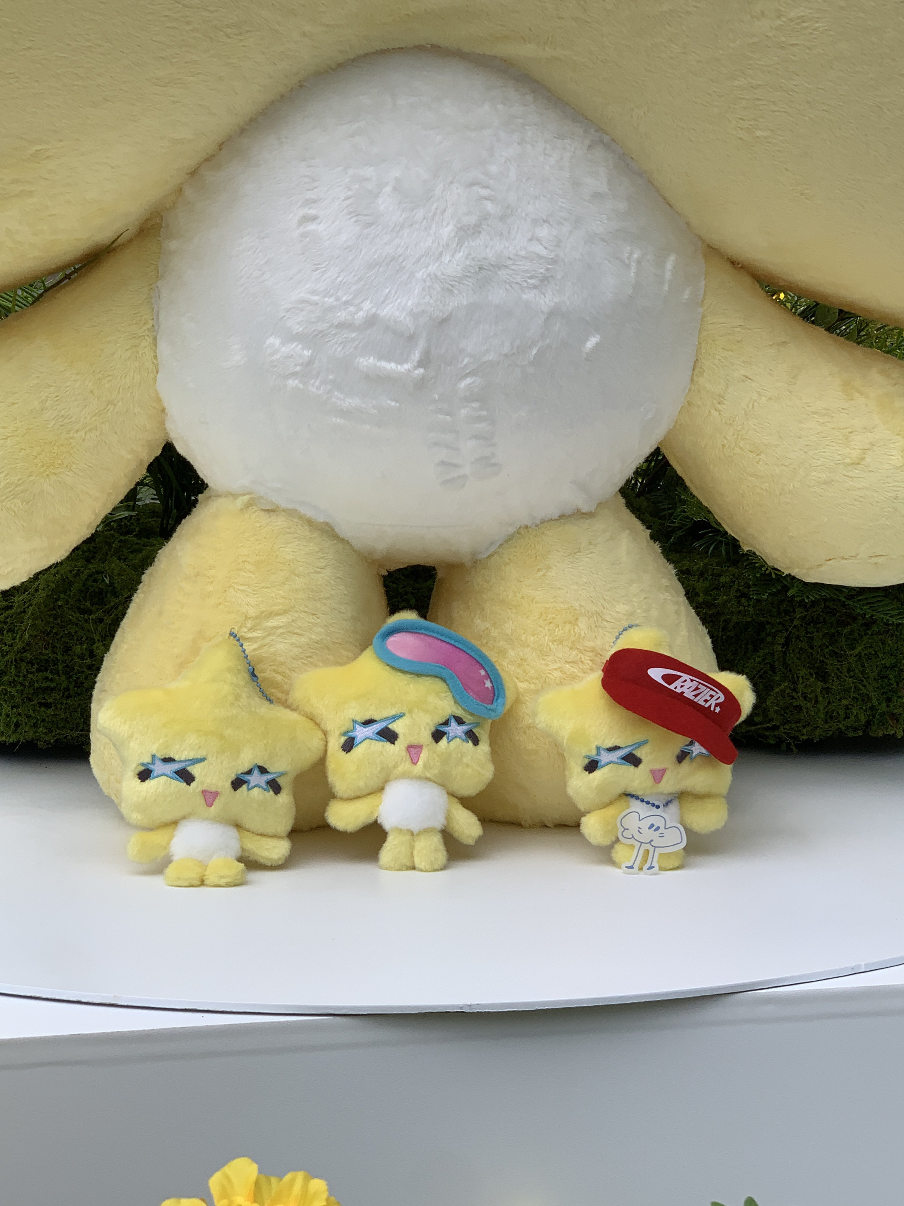 수술 후 처음으로 팬들앞에 나타난 오늘자 보아 근황 | 인스티즈