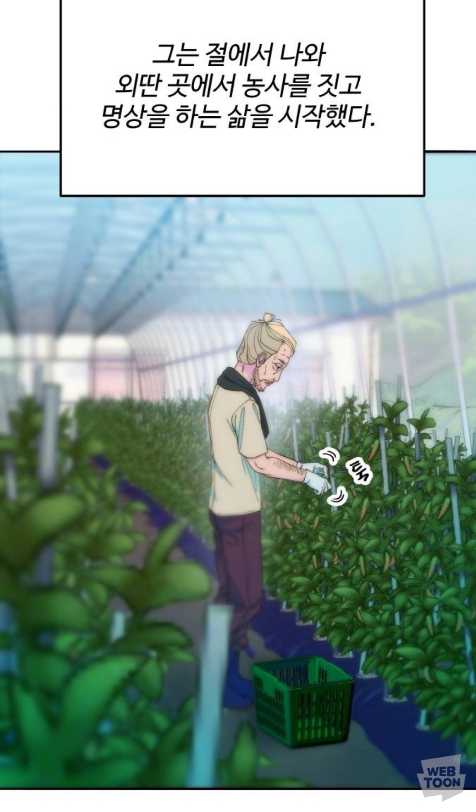 웹툰 "팔이피플" 국뽕 유튜버 제임스 근황 | 인스티즈