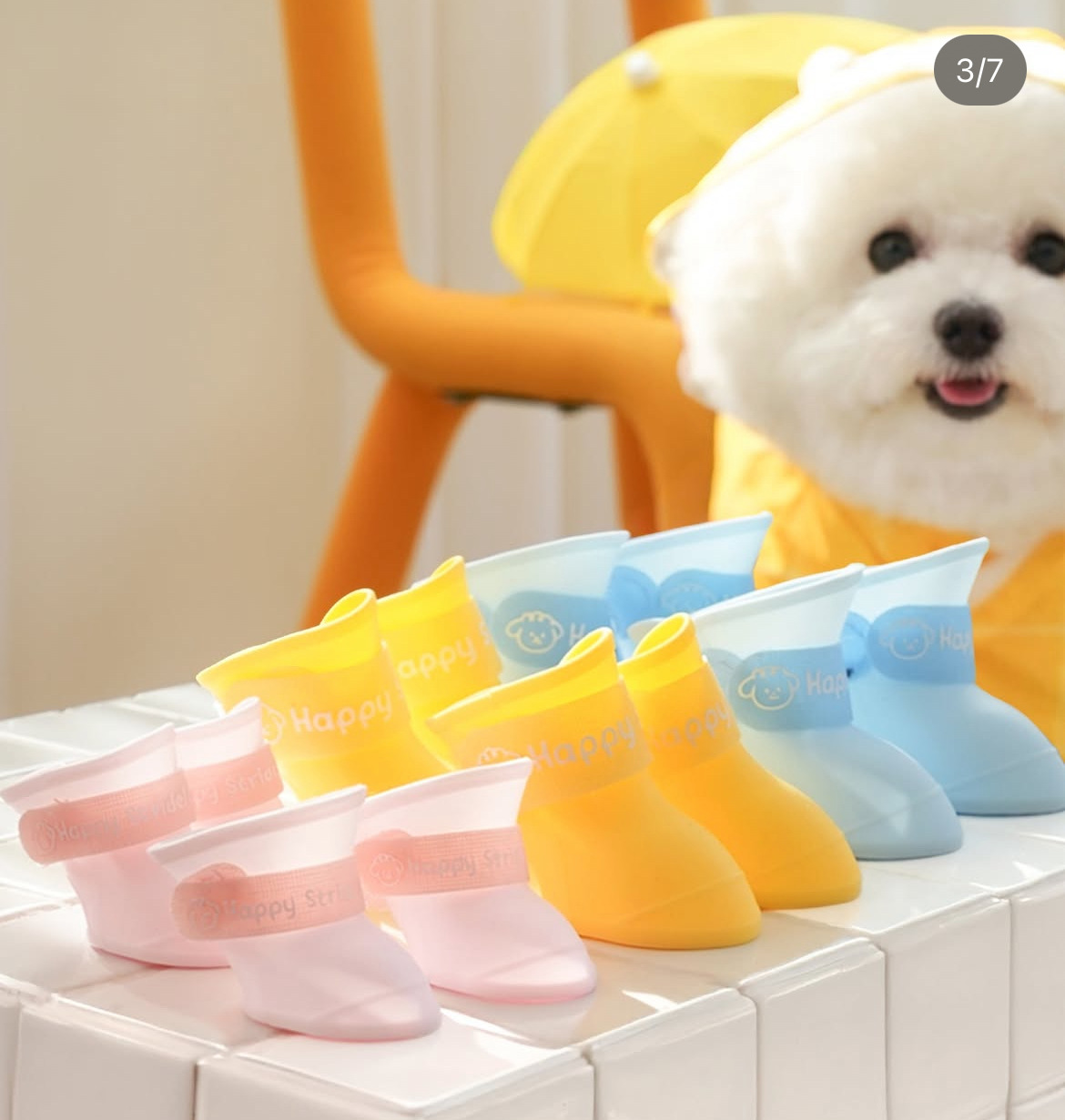 다이소 펫 용품 신상.jpg | 인스티즈