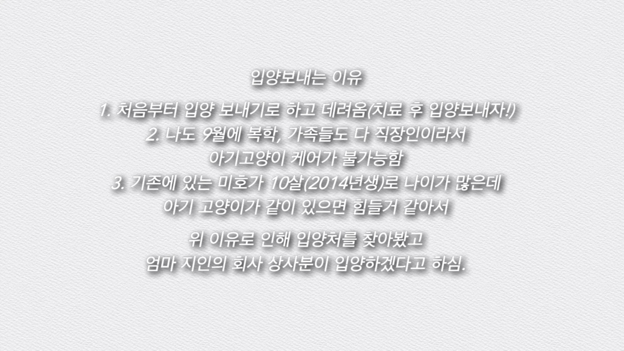 언니가 다리다친 아기고양이를 주워왔다 | 인스티즈