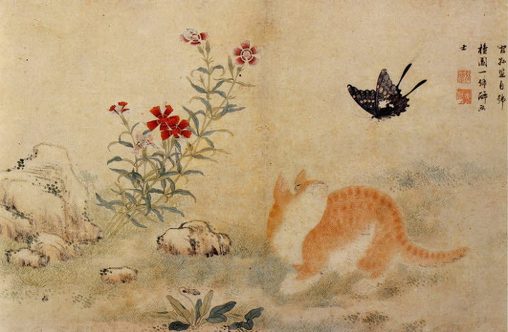 우리나라는 왜 고양이를 "나비야~"라고 부르게 됐을까 | 인스티즈