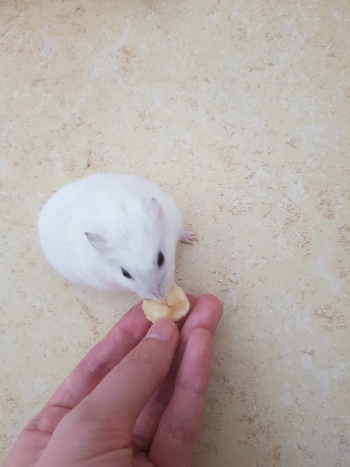 5초안에 자기 식단이 괜찮은지 확인하는 법.twt | 인스티즈