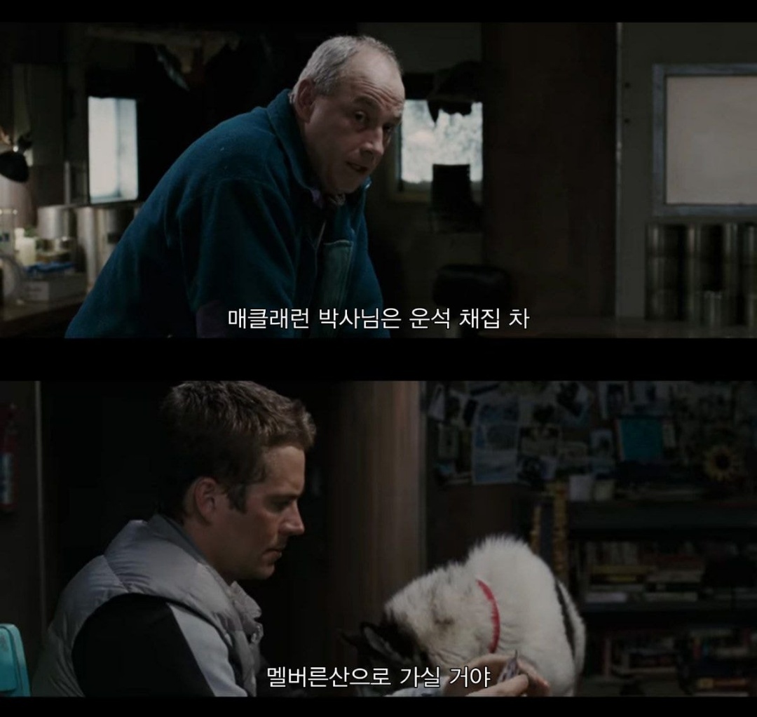 같이 남극 탐험하는 사람이 금방 돌아 온댔는데 폭풍으로 못온대 | 인스티즈