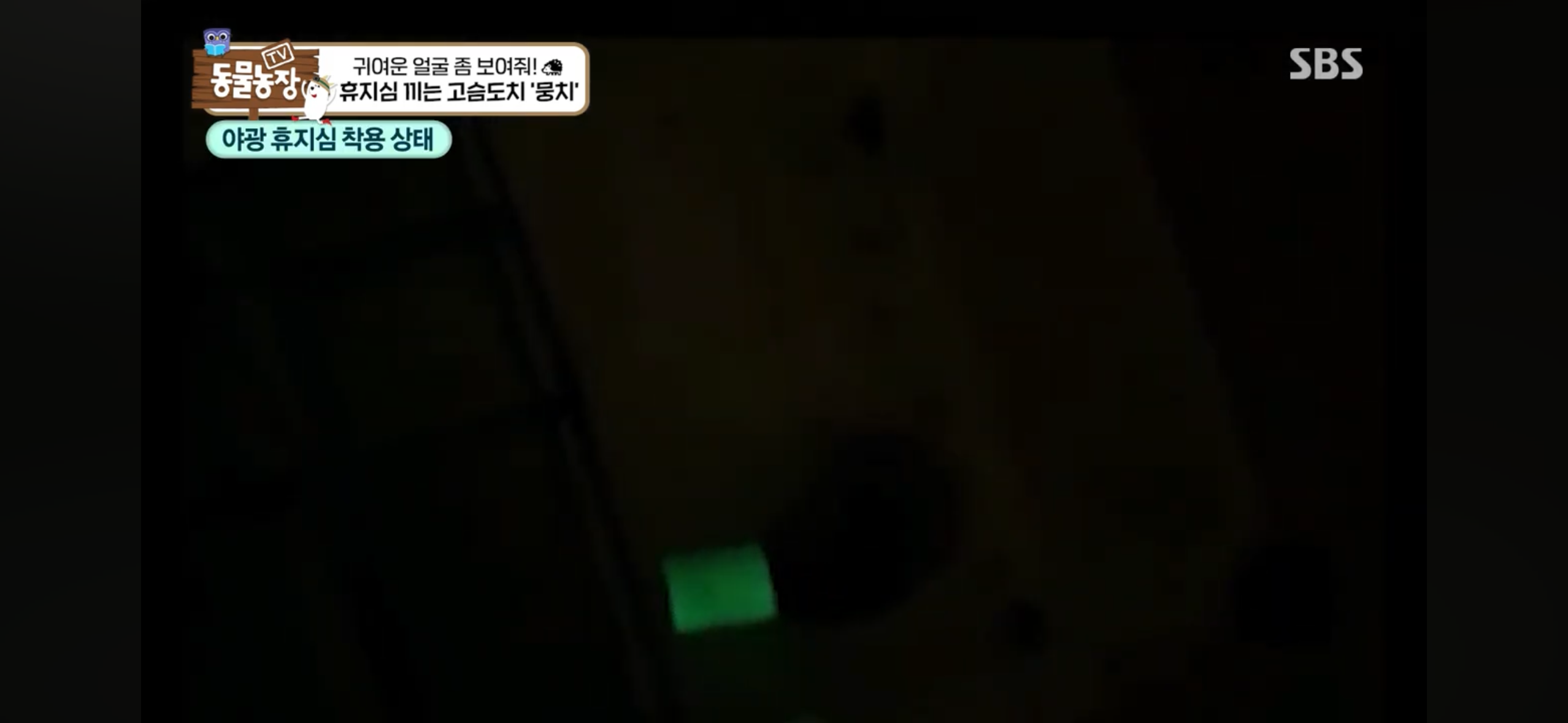 따봉고슴도치 휴지심 좋아도치 | 인스티즈