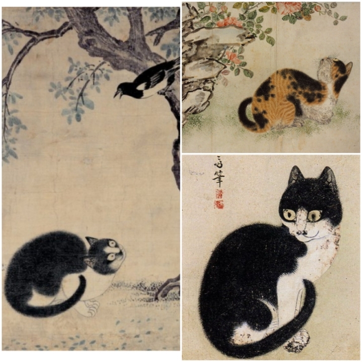 우리나라는 왜 고양이를 "나비야~"라고 부르게 됐을까 | 인스티즈