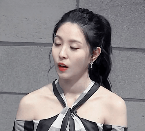 이젠 보아를 처음 알게된 계기가 6가지로 갈린다는 현재 세대 | 인스티즈