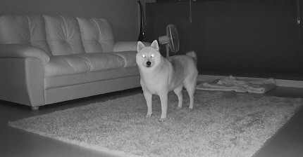 86380d961f1d87e765ba0af956f758659b5dd553