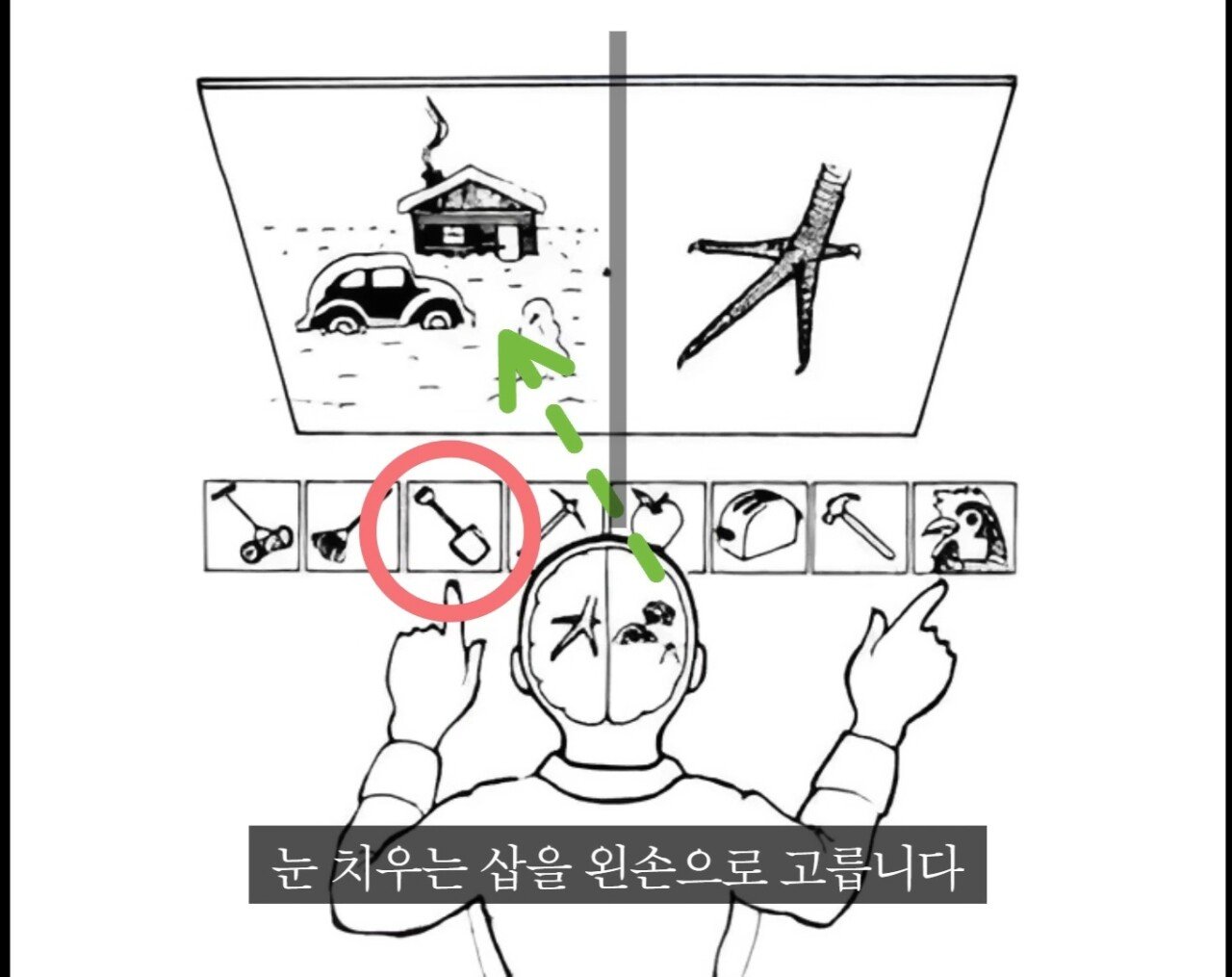 오싹오싹 스스로에게 구라치는 뇌.jpg | 인스티즈