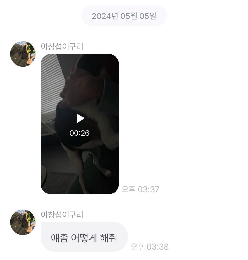 반려견 꼭 책임질 생각으로 데려오라는 남돌.jpg | 인스티즈