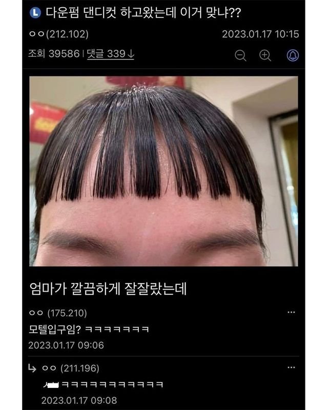 헤어갤러리 이미지