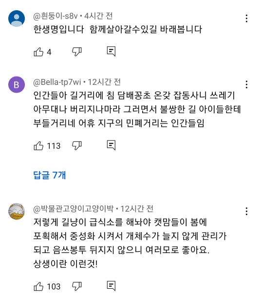 예전과 달라진 길고양이 급식소 겨울집 여론 | 인스티즈