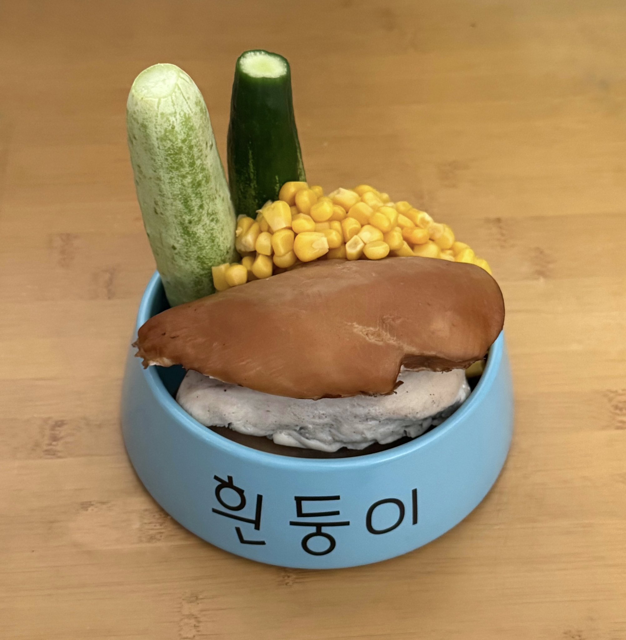 흰둥이 밥그릇에 밥먹는 사람 | 인스티즈