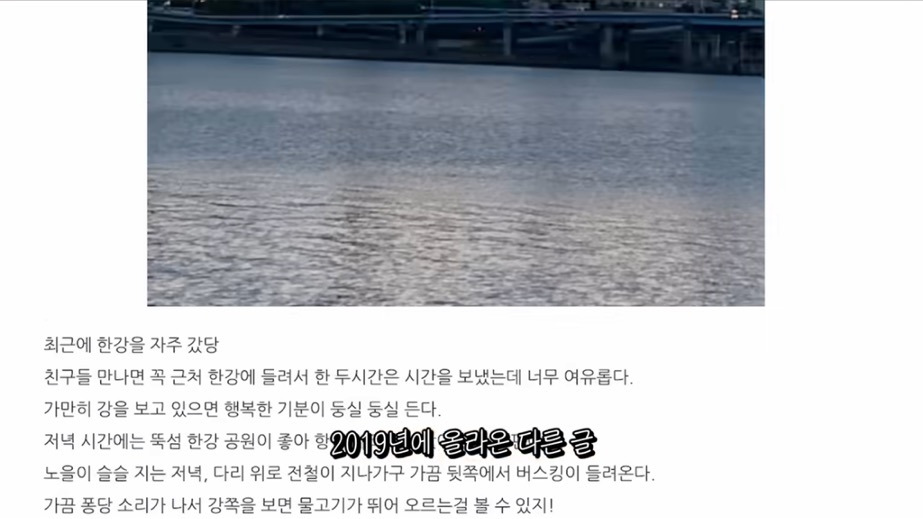 꽁꽁얼어붙은 한강위를 걷는 고양이는 몇살일까? | 인스티즈