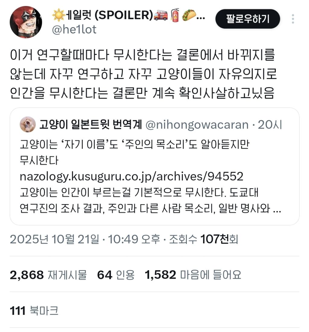 고양이는 '자기 이름'도 '주인의 목소리'도 알아듣지만 무시한다.twt | 인스티즈