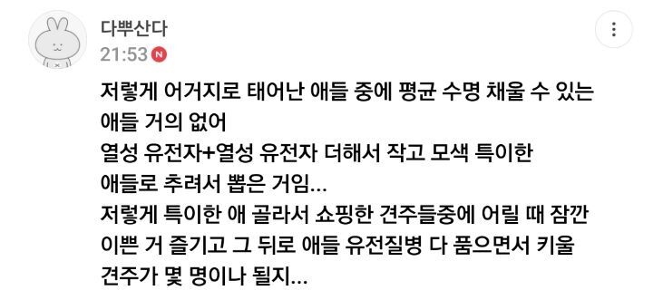 이제 하다하다 강아지 눈색깔까지 따지는 펫샵들 | 인스티즈