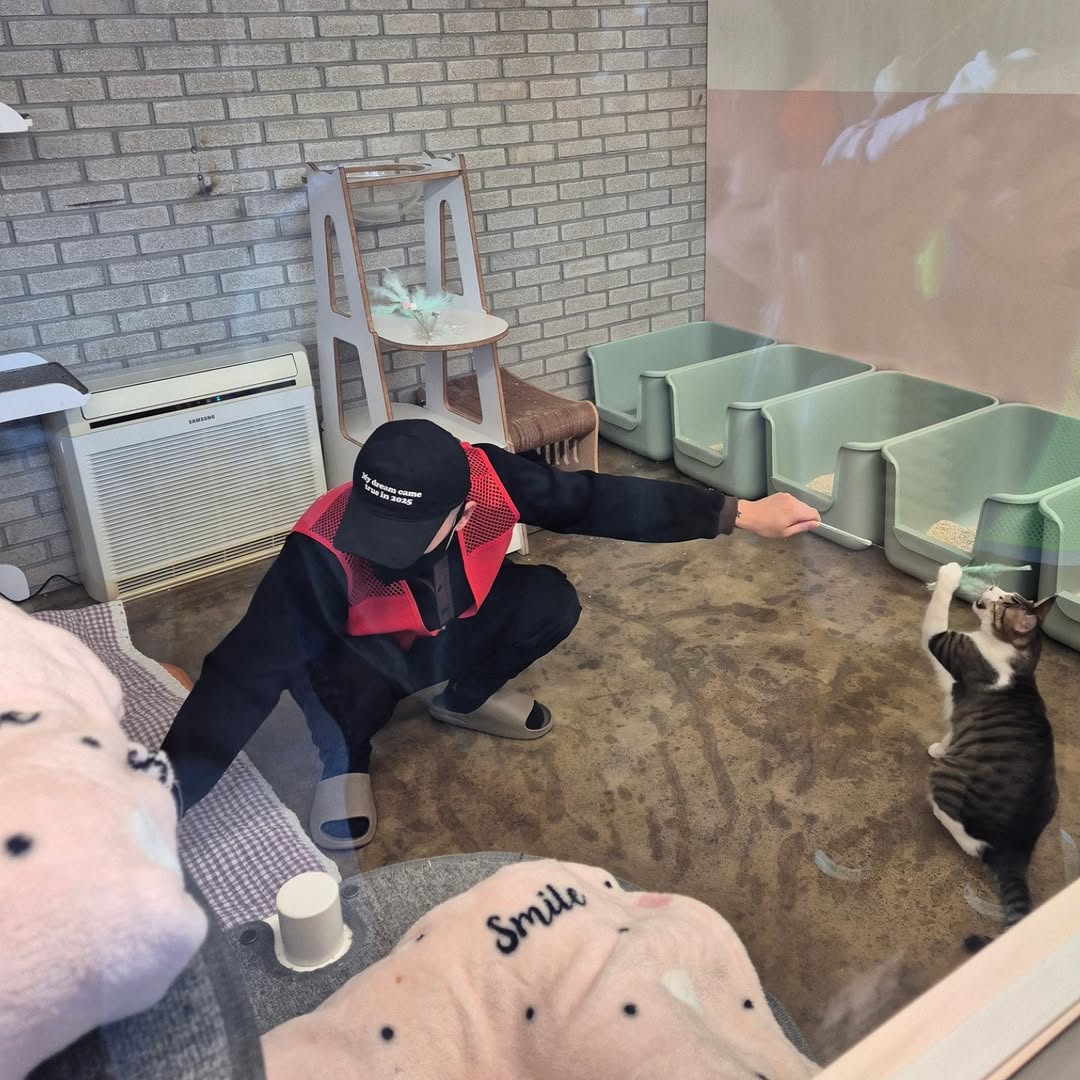 유기묘 보호소에 간식+사료 기부한 나폴리 맛피아 | 인스티즈