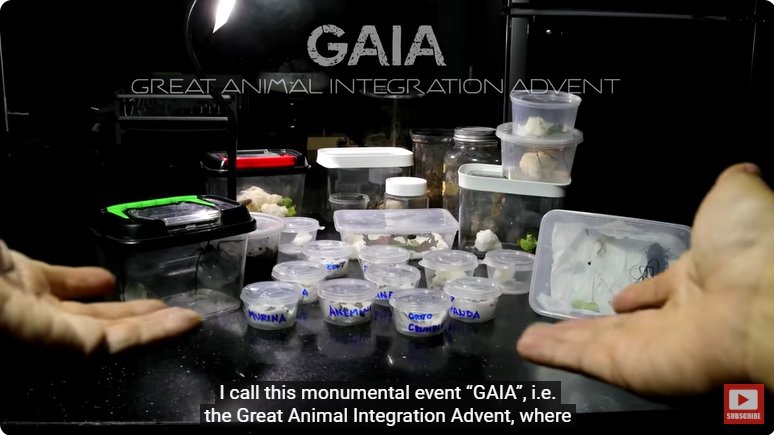 거대한 수조에 열대우림 환경을 조성해놓으면 생기는 일 - 2 | 인스티즈