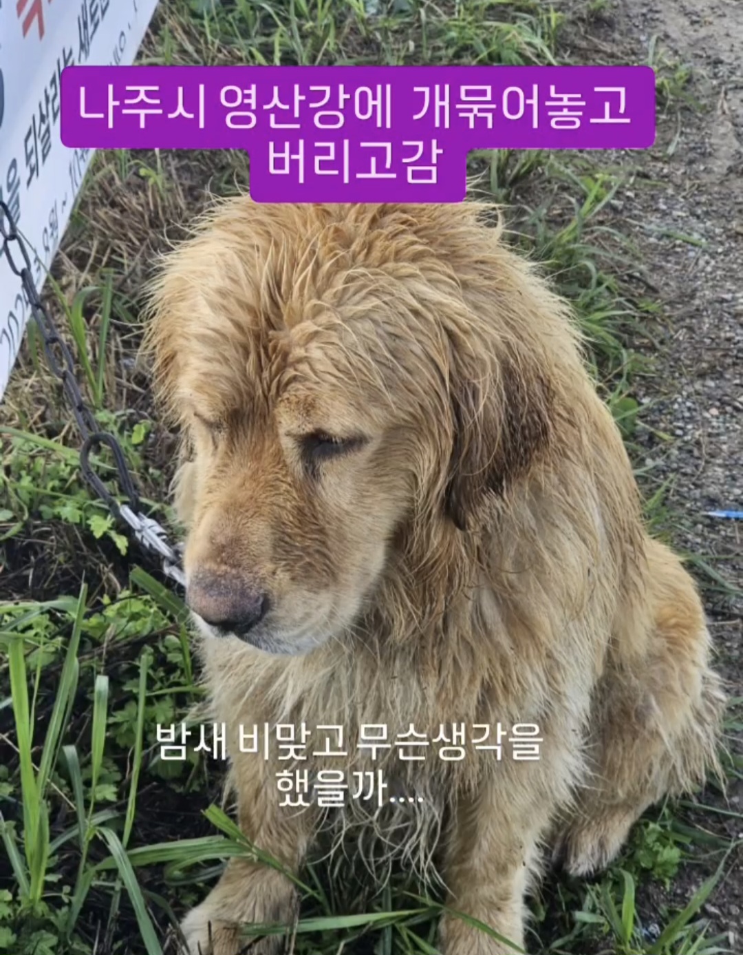 밤새 내리는 비를 맞으며 무슨 생각을 했을까 | 인스티즈