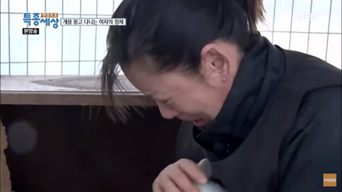 당신이 버린 강아지는 어떻게 되었을까 | 인스티즈