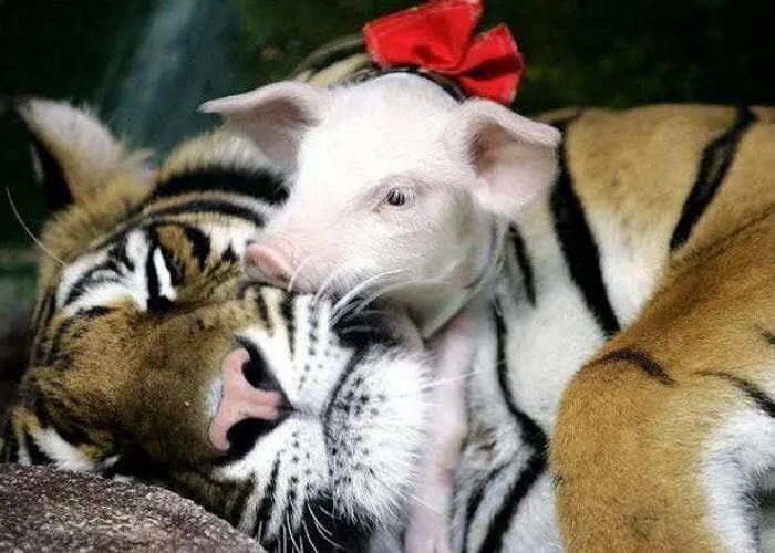 일반적인 상식을 뒤엎는 부모 자식 관계.jpg | 인스티즈