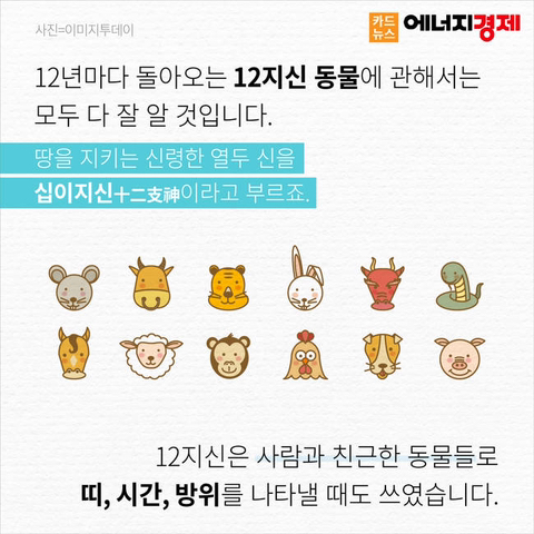 왜 12간지에는 고양이띠가 없을까? | 인스티즈