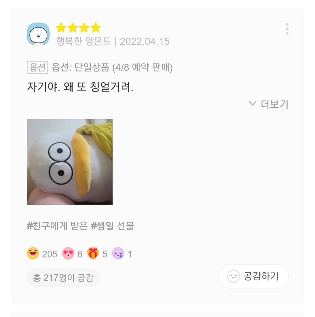 재치있는 오둥이 바디필로우 리뷰들 | 인스티즈