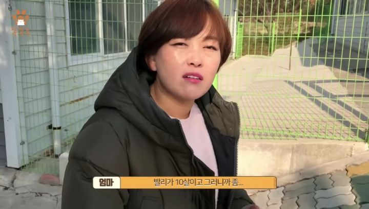 7살 아이 눈에 비친 유기견 보호소는? | 인스티즈