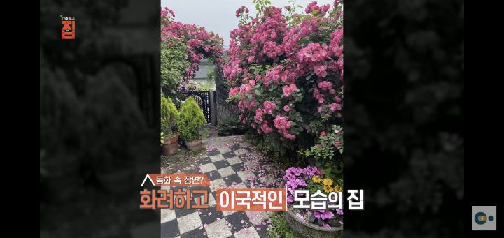 번아웃 후 해리포터 집을 지은 사랑스런 부부(무려 한국!!) | 인스티즈