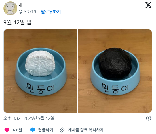 요새 트위터에서 화제 중인 식단 계정...... | 인스티즈