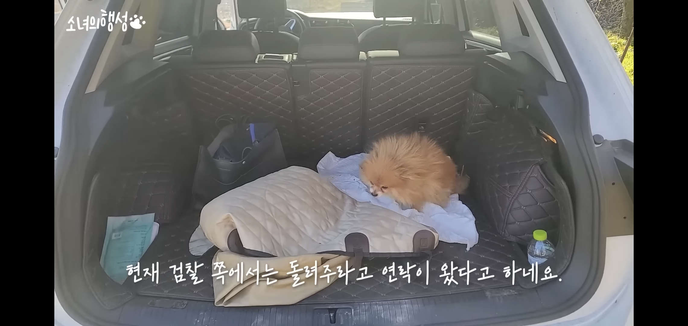 번식장에서 강아지 구조 후 치료했더니 절도죄로 고소당한 유튜버.jpg | 인스티즈