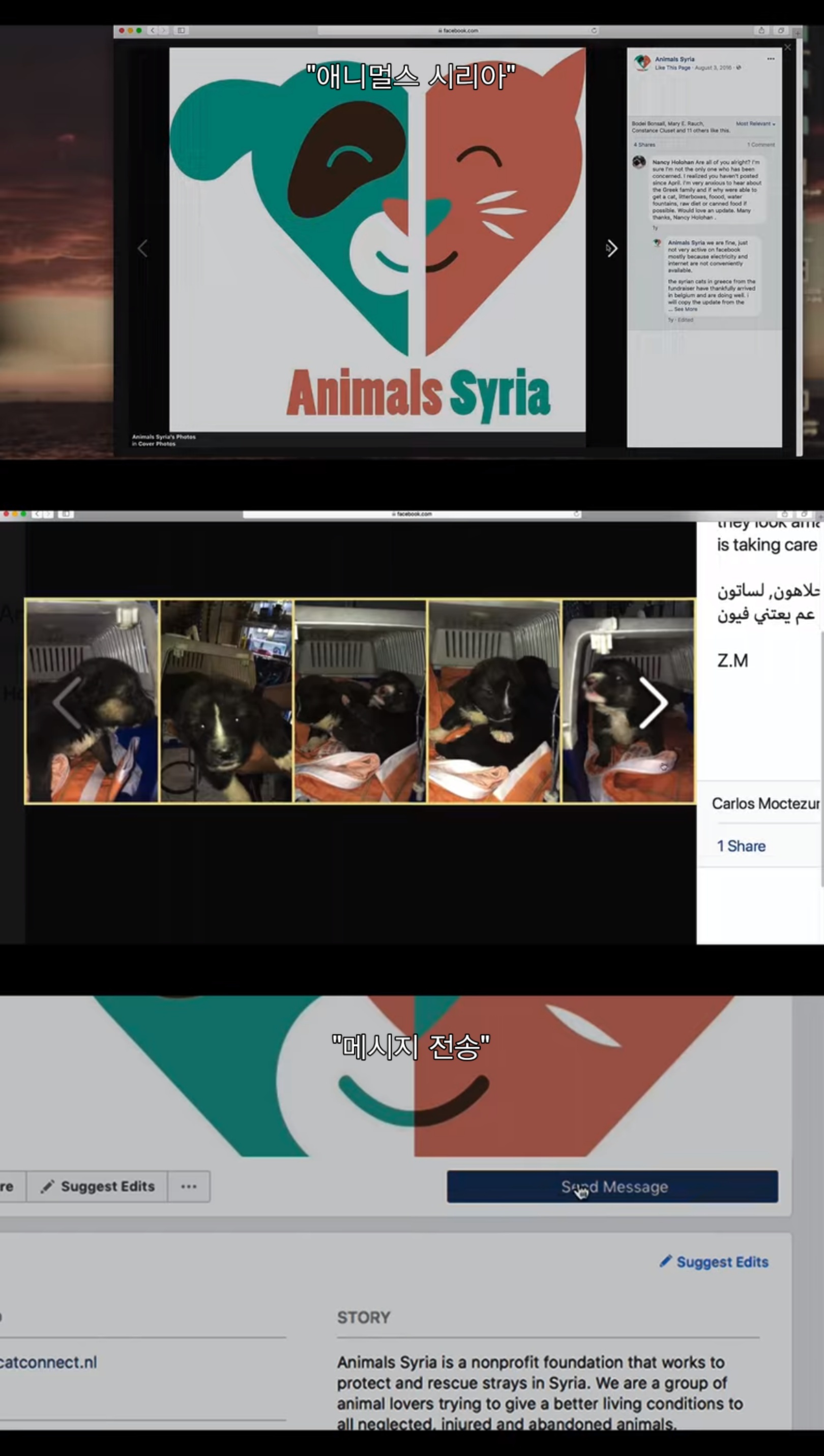 전쟁때문에 독일로 온 난민이라 시리아에 두고 온 내 강아지를 구조하려는데 갑자기 연락이 안된다 | 인스티즈