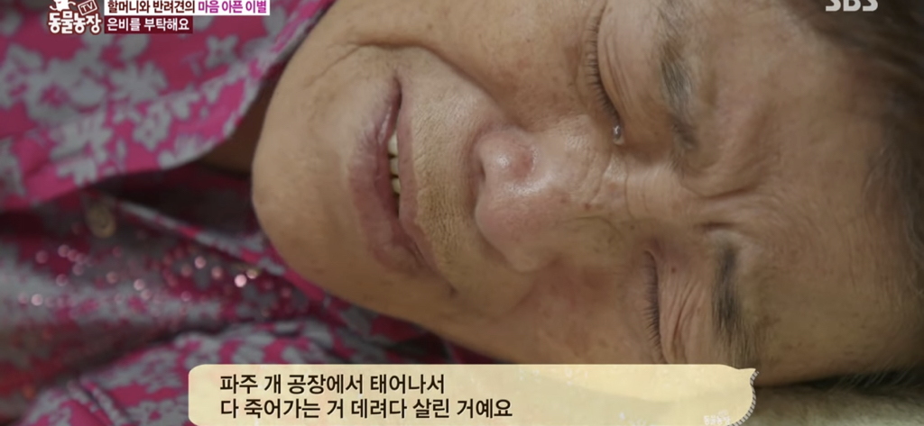 서로를 위해 헤어지는 할머니와 은비 | 인스티즈