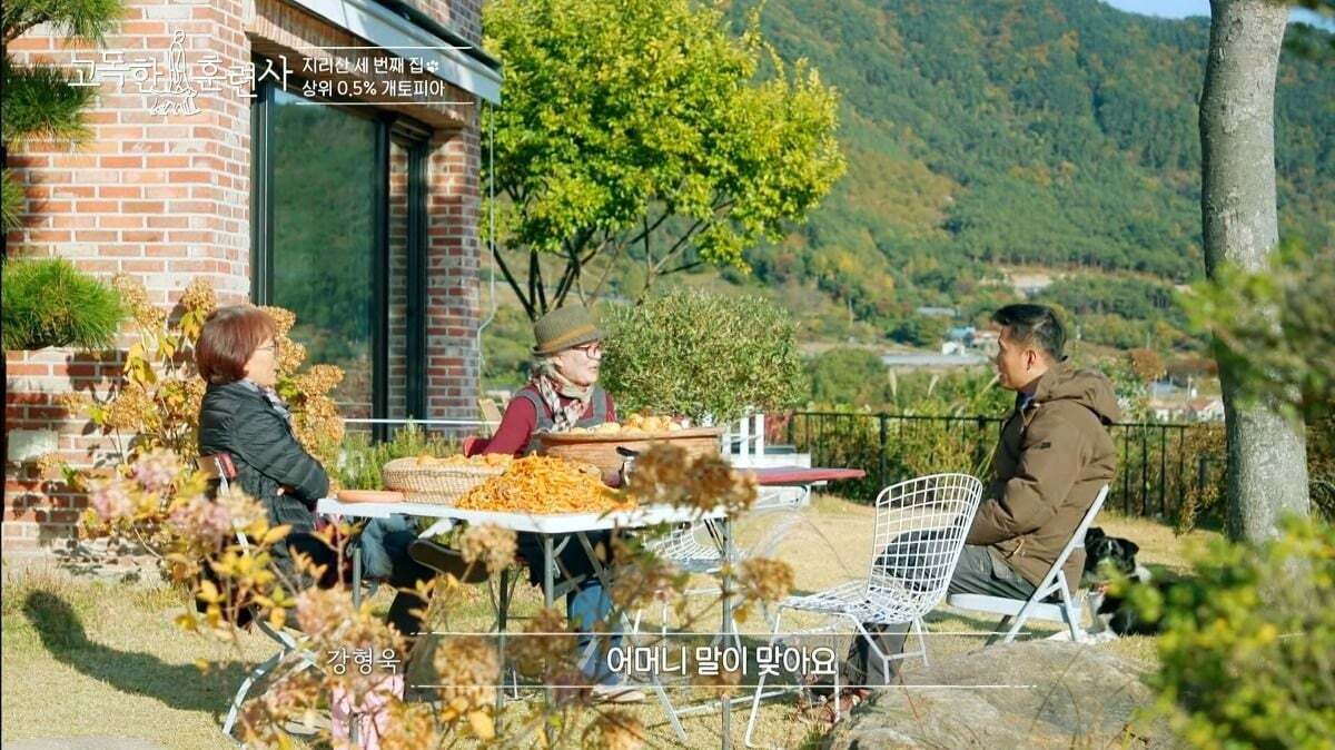 말티즈가 예민하고 잘 짖는 이유.jpg | 인스티즈