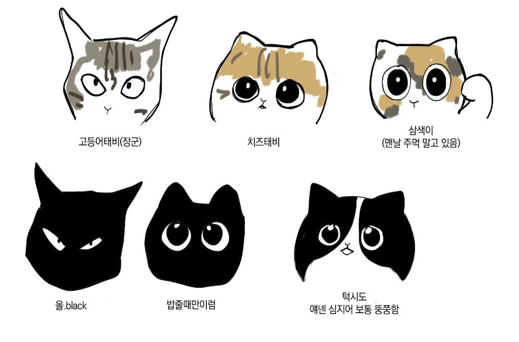 동네 고양이들 다 이렇게 생김 | 인스티즈