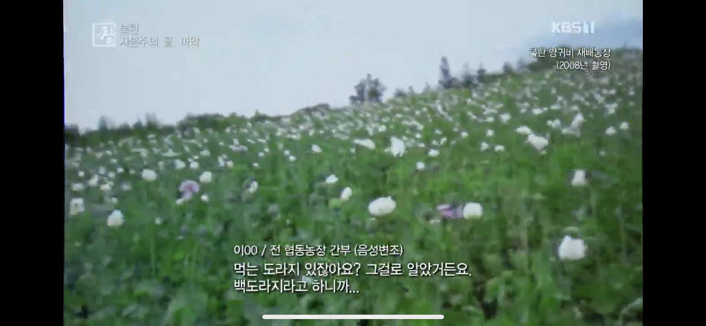 탈북민 출신 전직 북한 검사가 말하는 북한 마약 상황 | 인스티즈