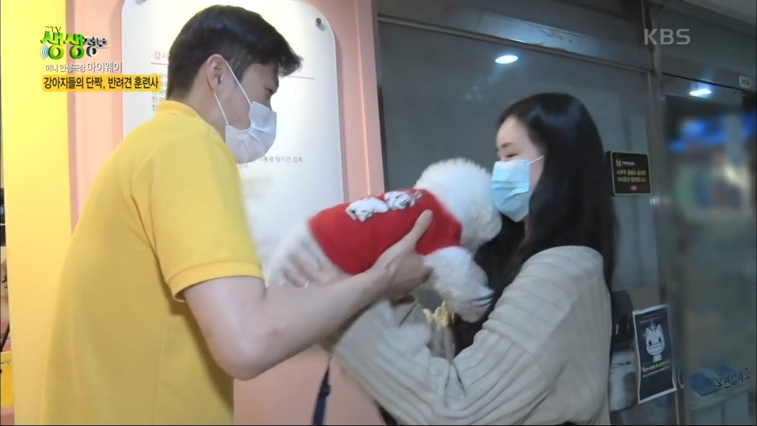 강아지 유치원.jpg | 인스티즈