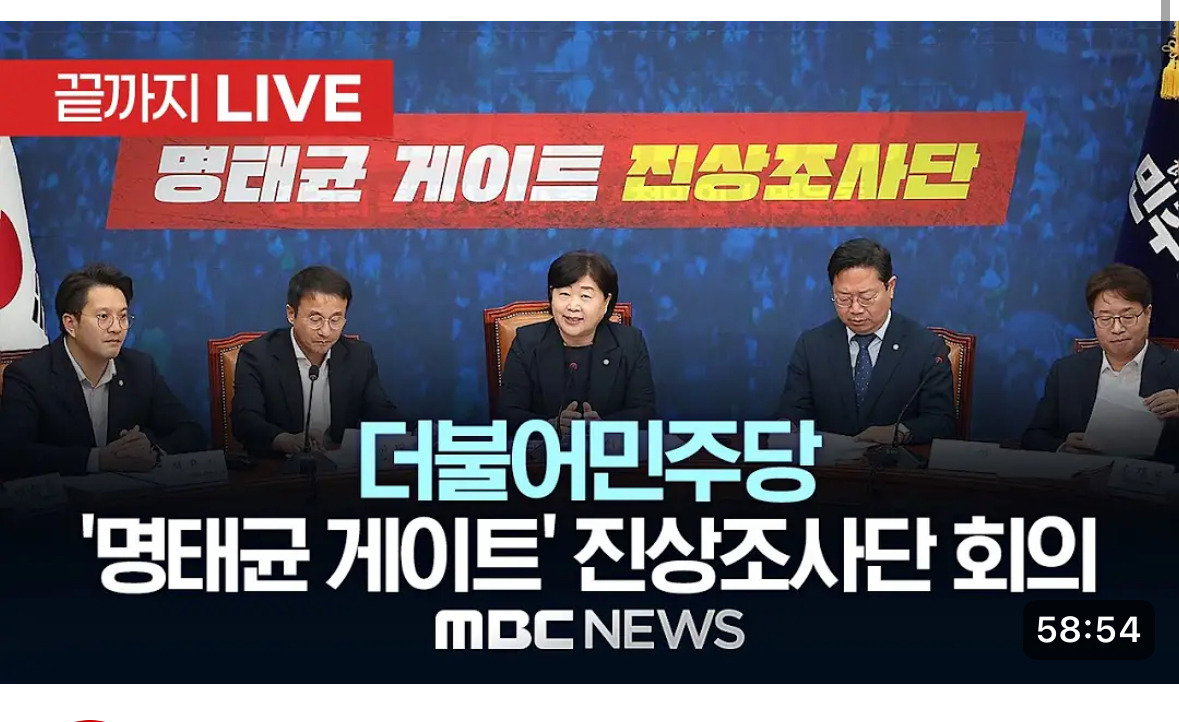 민주당 요즘에 진짜 멀티가 잘 된다 | 인스티즈
