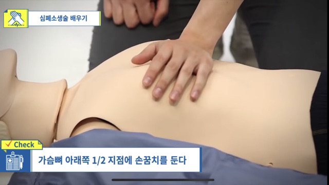 사람이 쓰러졌어요! 의식이 없어요! 우리 강아지가 쓰러져서 일어나지 않아요! 살려주세요!! | 인스티즈