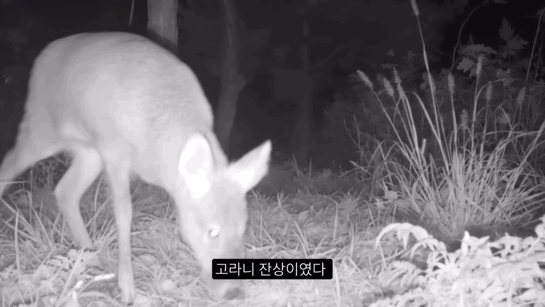 882ce07b57c3b29974dfd97440f90324888ac924