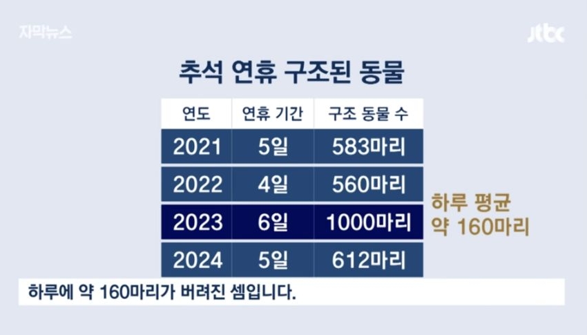 6일 동안 1000마리 버렸다... 연휴가 불러온 악순환 | 인스티즈