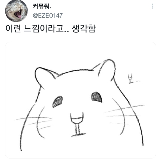 햄들은 정말 뵤...함 | 인스티즈