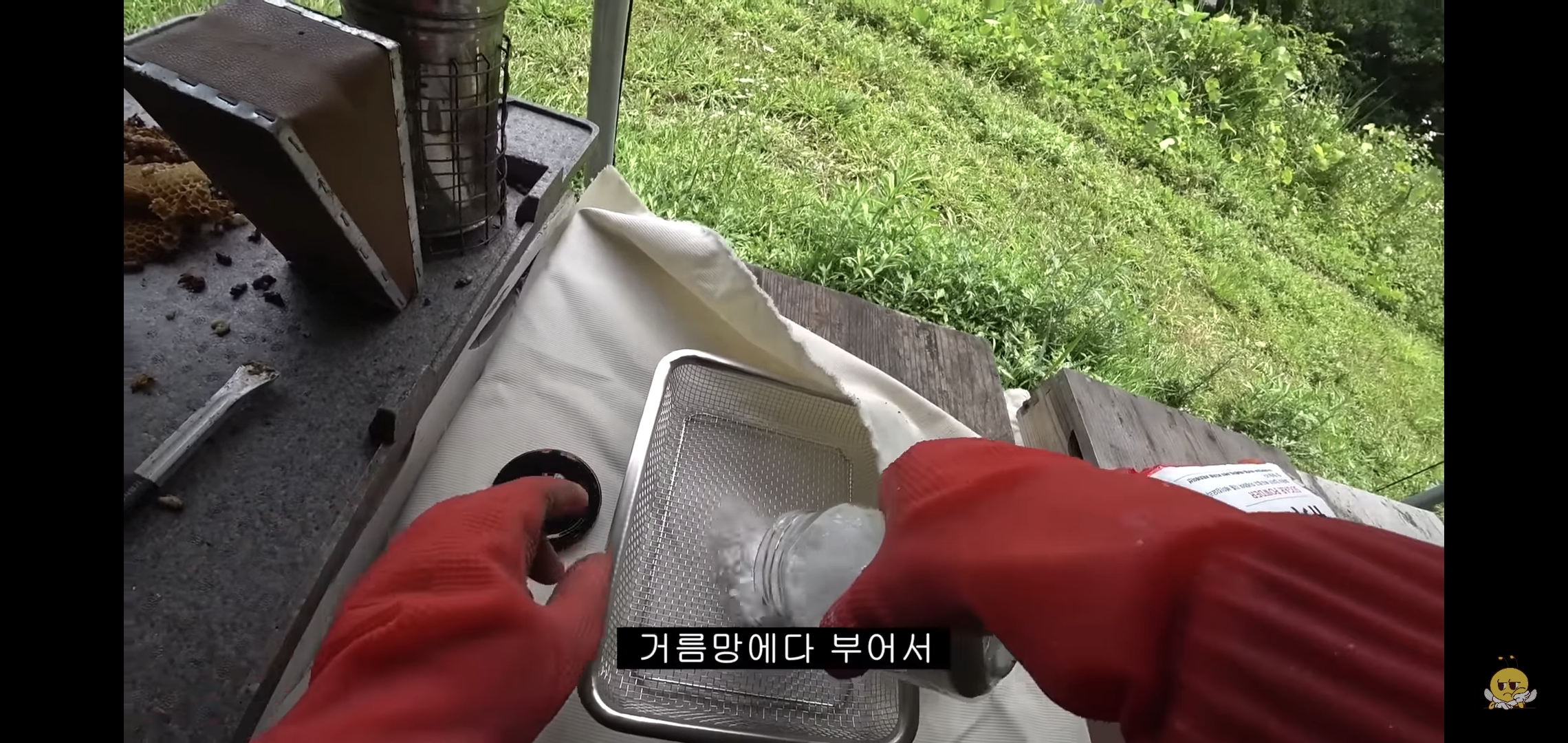 꿀벌들을 설탕에 굴려 설탕 범벅으로 만드는 유튜버.jpg | 인스티즈