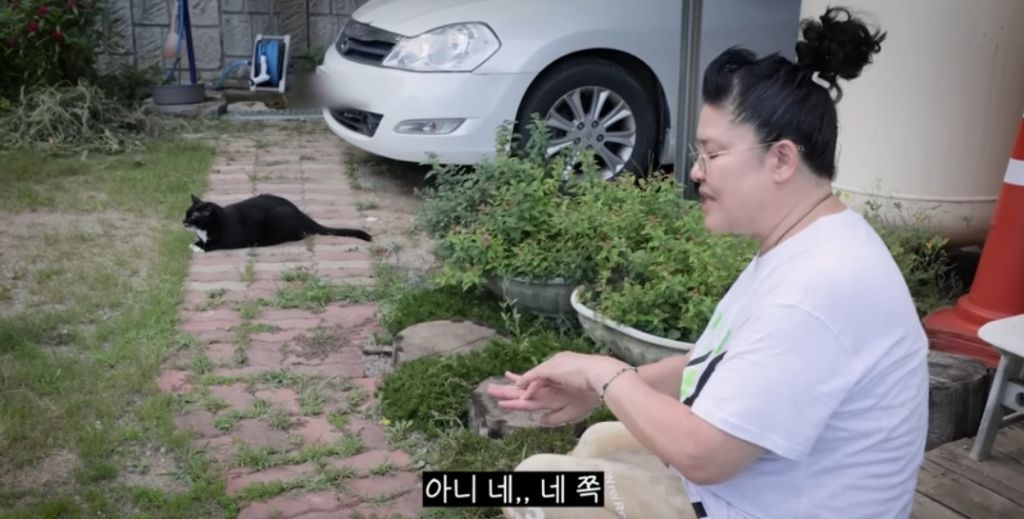 신발 물어 뜯은 고양이 찾아간 이영자 | 인스티즈