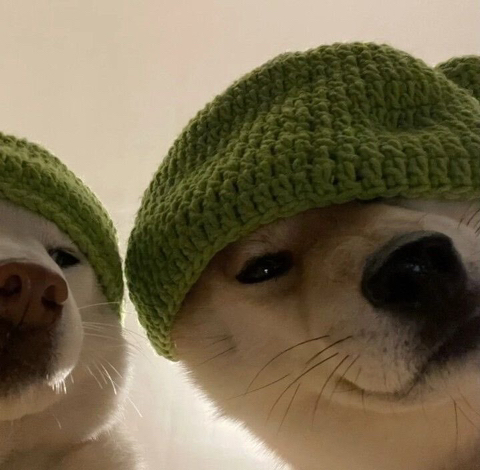 자기 흑역사 중 개에바인 흑역사 하나 말하고 가는 달글 | 인스티즈