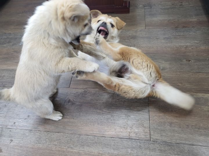 (공지라니... ++추가)새로생긴 회사 복지.. 미쳐서 도저히 일을 못하겠네.. (추가....)++추가 | 인스티즈