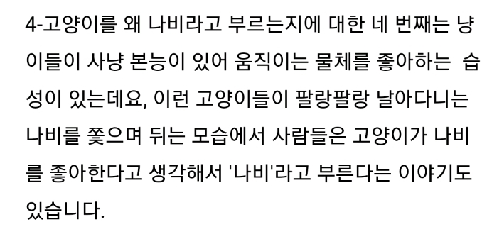 우리나라는 왜 고양이를 "나비야~"라고 부르게 됐을까 | 인스티즈