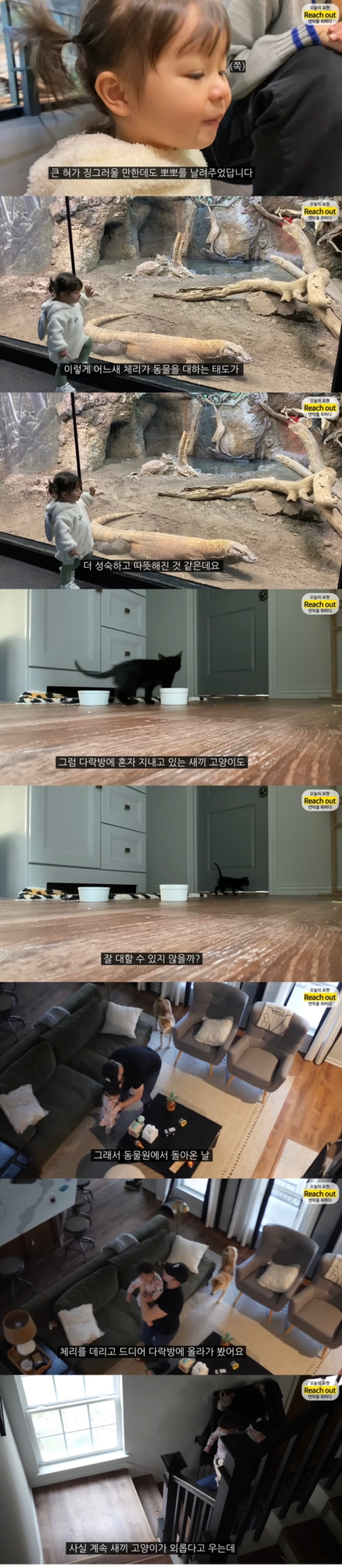 체리한테 동물은 어떻게 대해야 하는지 잘 알려준 것 같은 유투버 올리버쌤 | 인스티즈