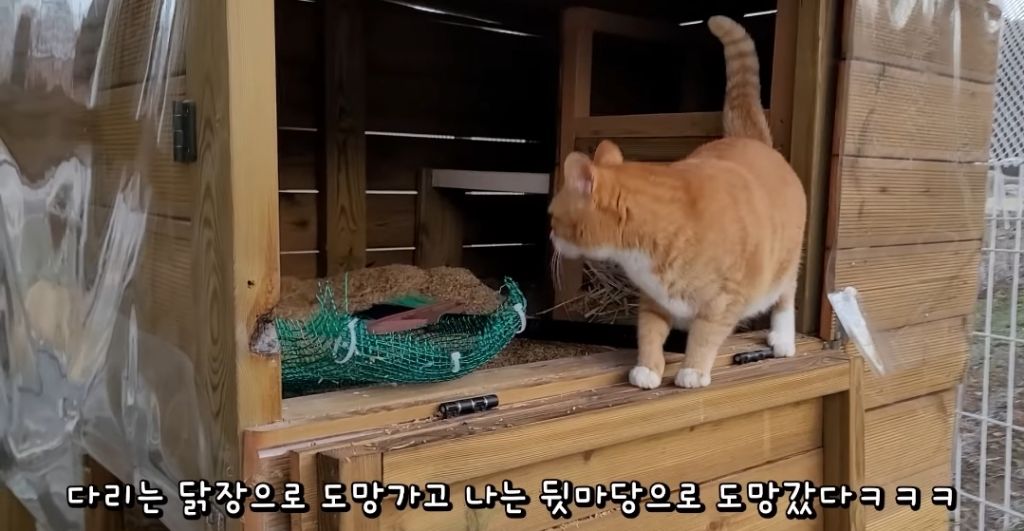 매맞는 삶을 살고 있는 매탈남 근황.jpgif | 인스티즈