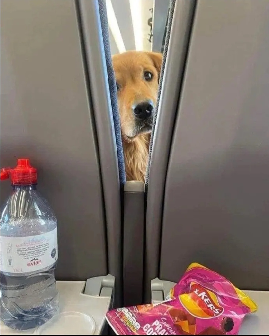 앞자리에 앉은 진상 손님 | 인스티즈