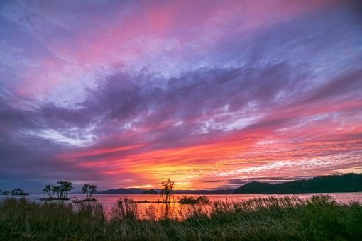 나만 몰랐던 '개와 늑대의 시간' 뜻 | 인스티즈